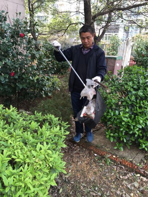 控制鼠害、預(yù)防疾病，構(gòu)建和諧文明社區(qū)